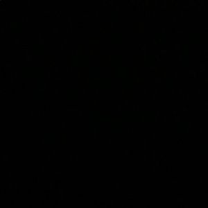 Meet your Posher, Shane